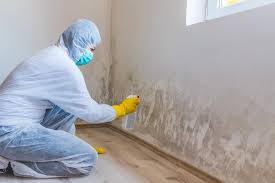 Best Biohazard Mold Removal  in Fox Lake, WI