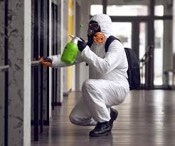 Best Commercial Mold Inspection  in Fox Lake, WI